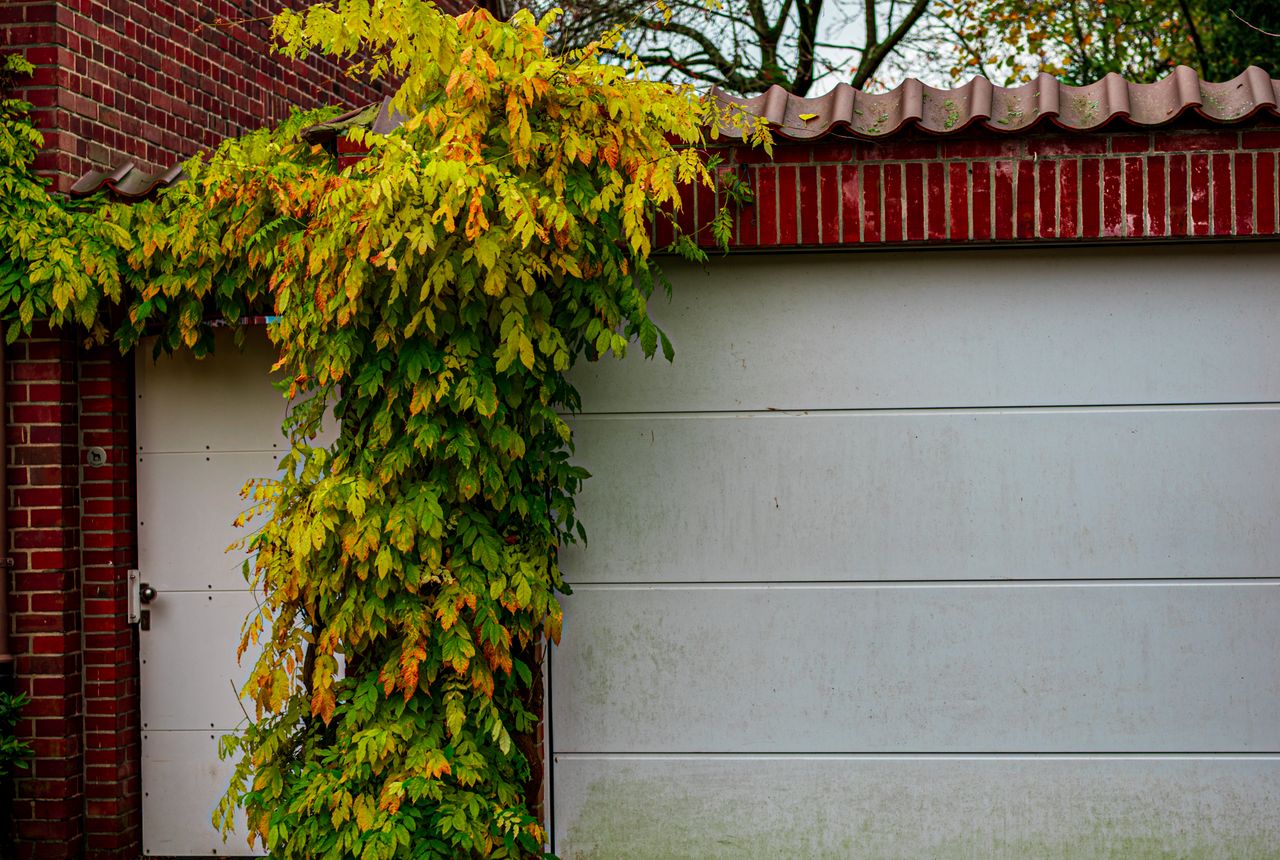 Garage door service in Stillwater, MN